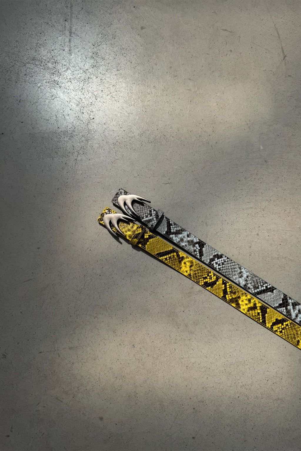 Snake White Belt
